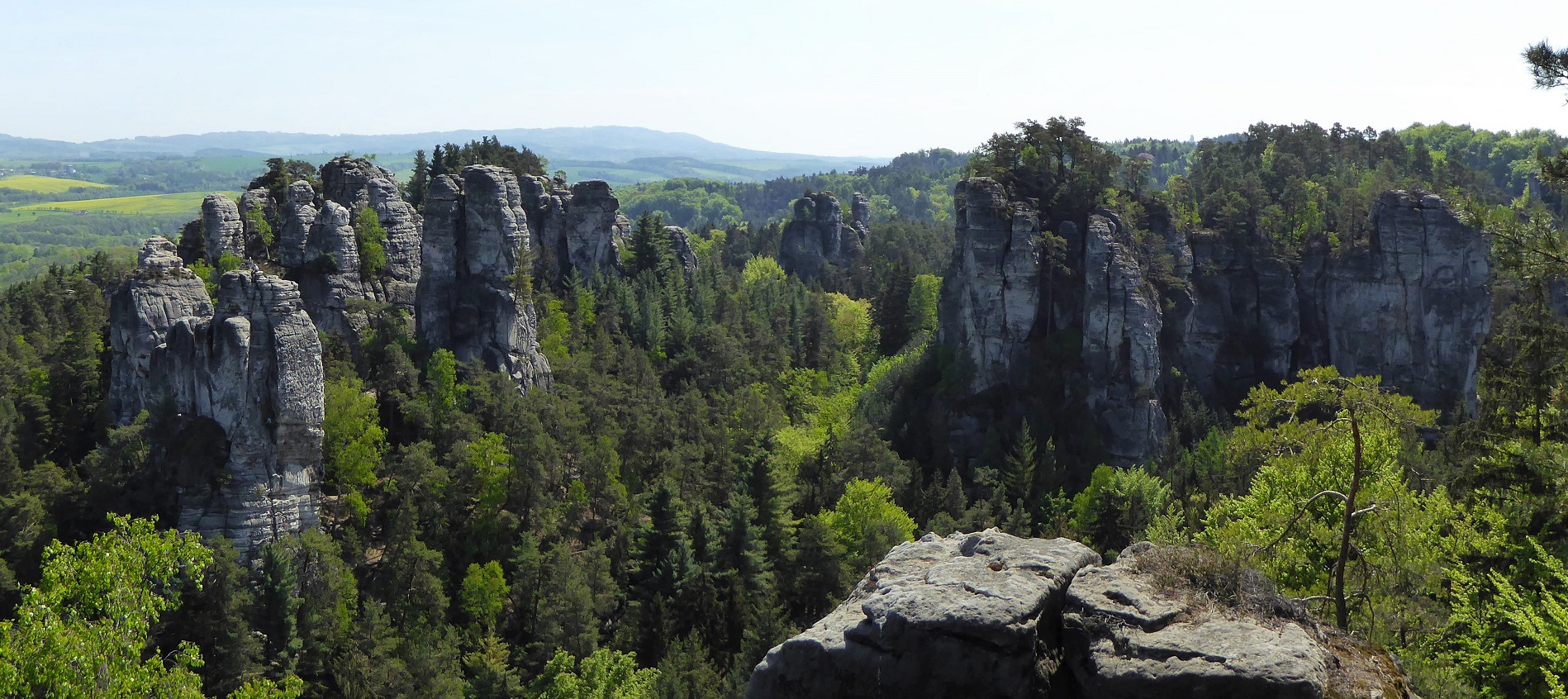 Plán péče o přírodní rezervaci Hruboskalsko uvádí konkrétní výčet předmětů ochrany EVL Podtrosecká údolí, které se na území PR vyskytují, a stanovuje vhodnou péči o ně. Foto Tereza Kušnírová