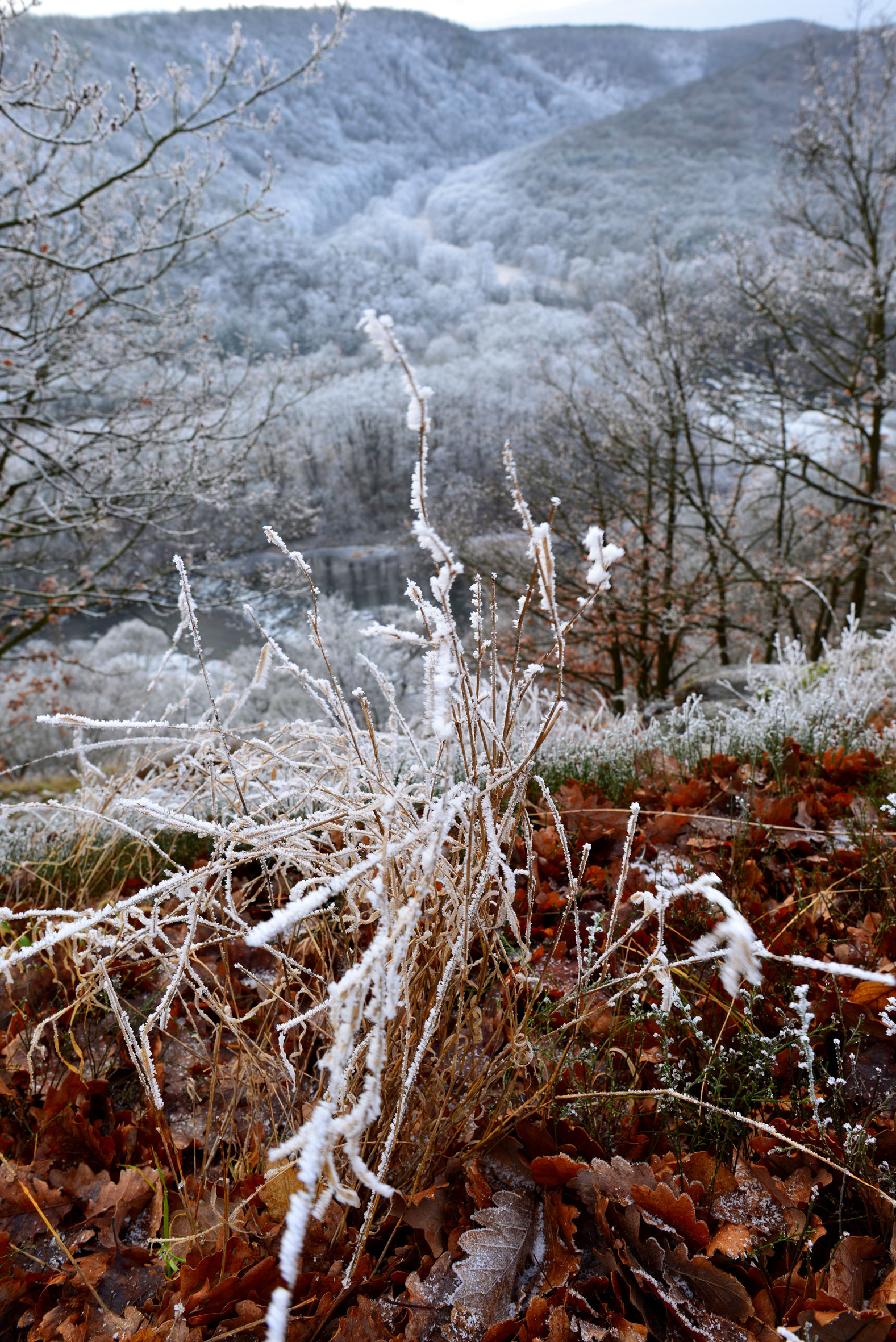 NP Podyjí láká k návštěvě i v zimních měsících. Foto Tomáš Rothröckl