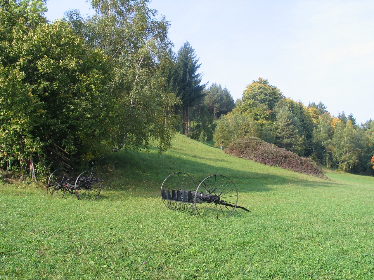 Vizuální produkt realizace plánu péče – PP V Jezdinách. Foto Jaroslav Knotek