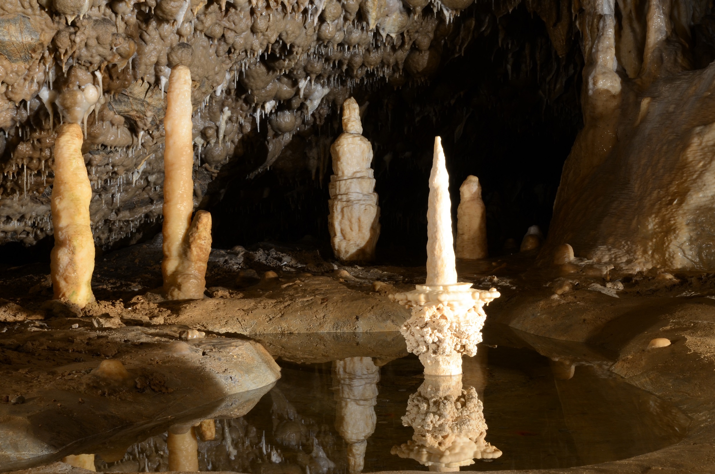 Obr 1: Symbolem Sloupsko-šošůvských jeskyní je krápníkový útvar „Svícen“. Foto: Leoš Štefka