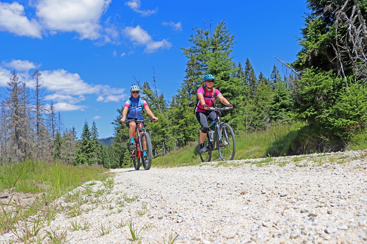 Kvůli strmým svahům nebyla cykloturistika v Bavorském lese tak populární jako na Šumavě. Elektrokola však začínají situaci měnit. Foto: Annette Nigl