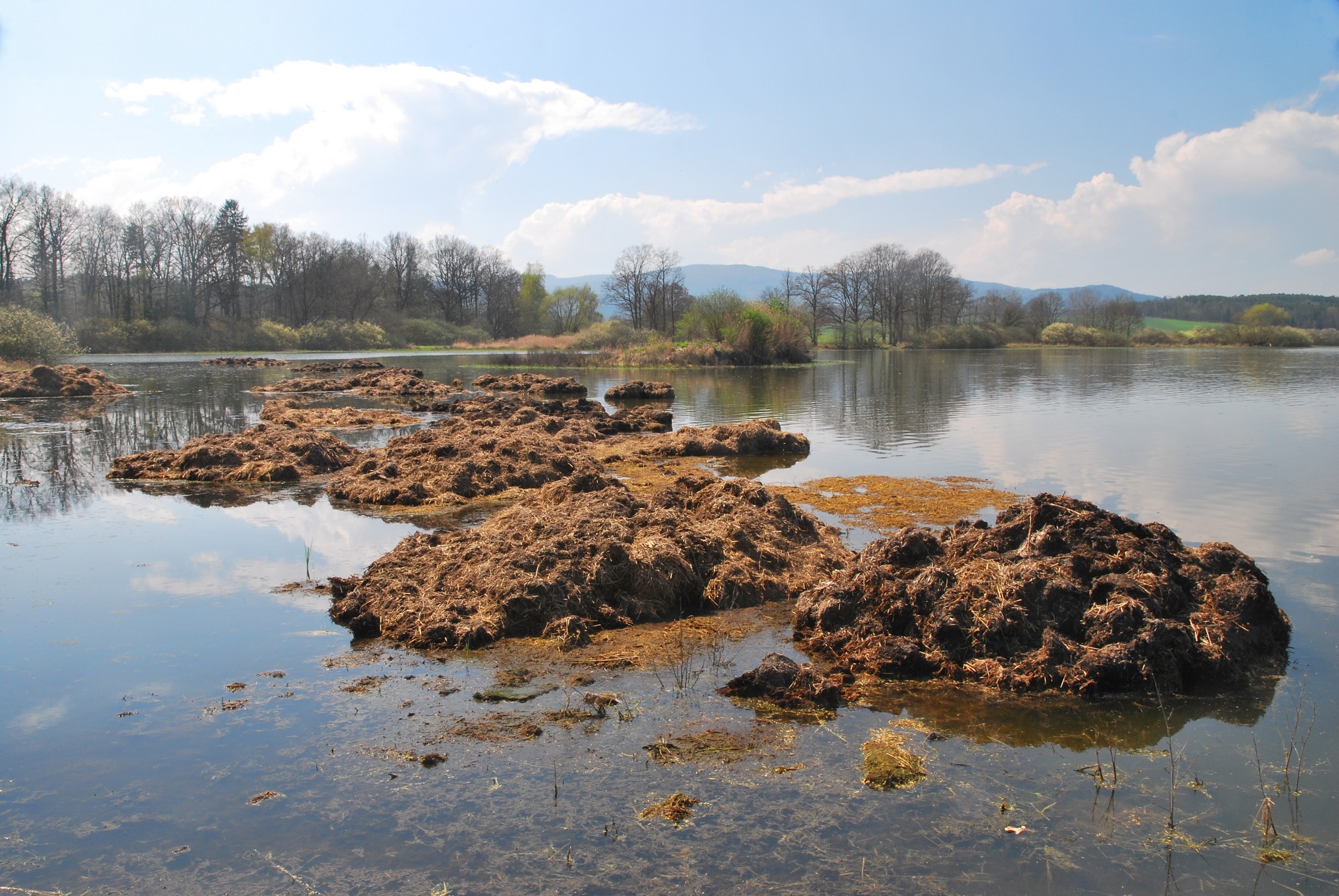 Nadměrná aplikace organického hnojení může negativně ovlivňovat kyslíkový režim rybníků. Foto David Kortan