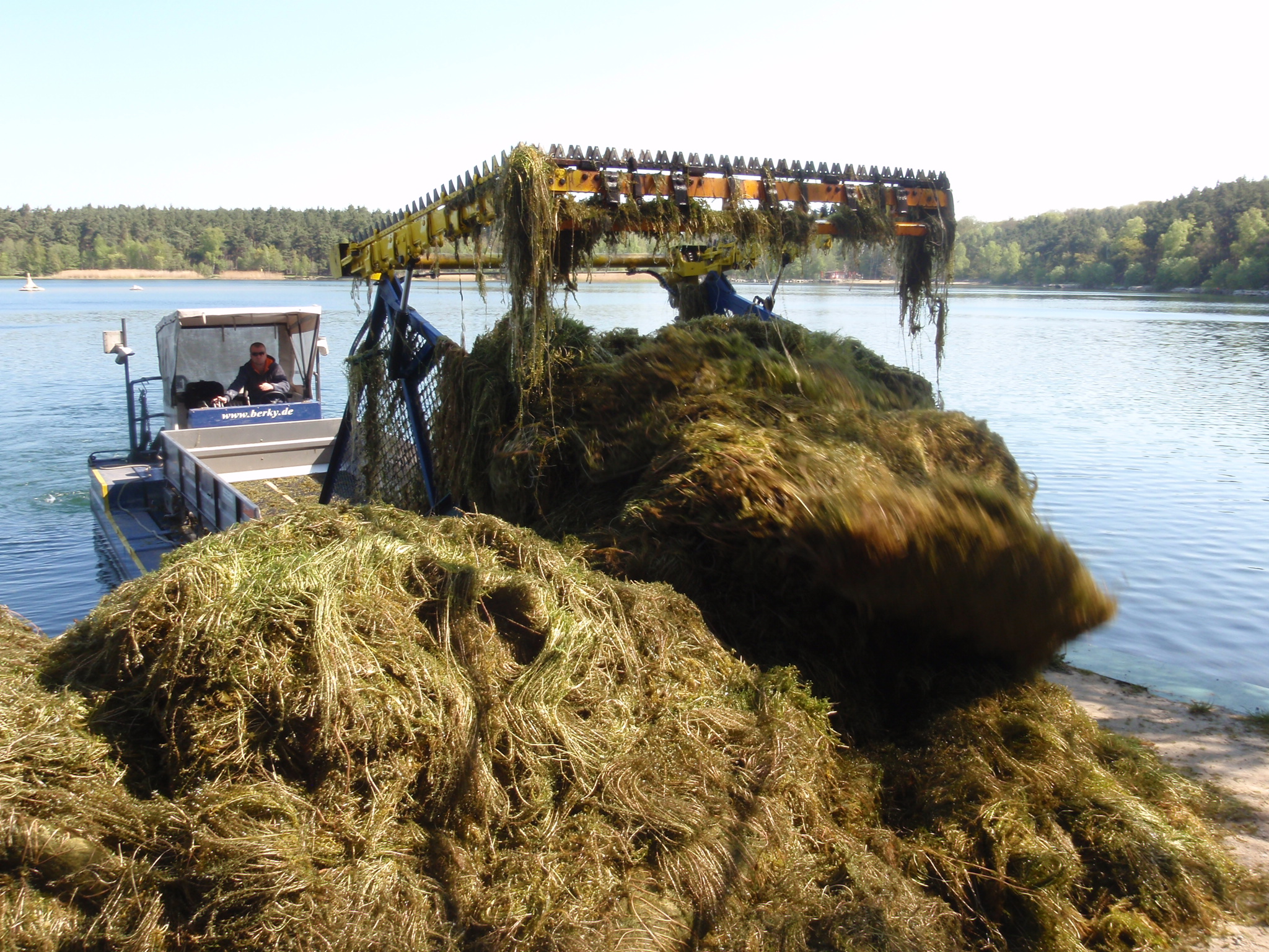 Vyžínací loď (harvester) vykládá nakosenou biomasu ponořené vegetace na břeh. Materiál je využíván jako hnojivo. Foto Jindřich Duras