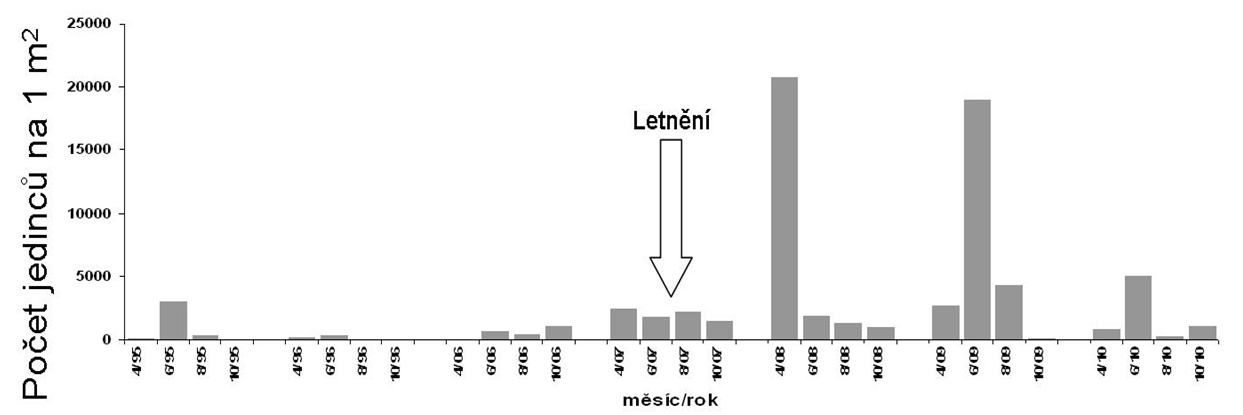 Obr. 4 Denzita zoobentosu na rybníku Nesyt v letech 1995, 1996 a 2006–2010 (údaje z let 1995, 1996, 2006 a 2007 podle Sukop 2007, Heimlich a Sukop 2008)