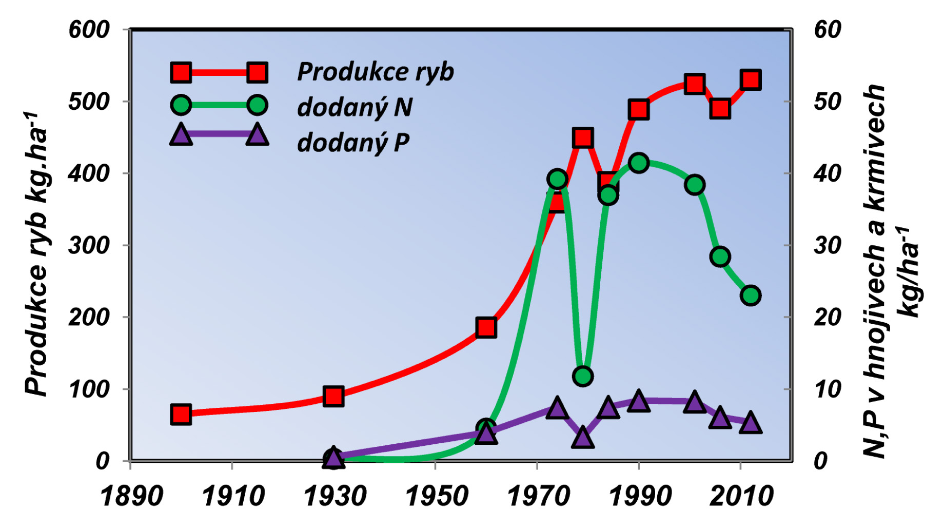 Obr. 1 Vývoj produkce ryb (kg/ha, především kapra) a rozsahu hnojení a krmení (vyjádřeno jako přísun N a P v kg/ha) ve 20. století. Historická data do 30. let pocházejí ze záznamů ing. Kubů, údaje od 50. do 70. let z dat oborového podniku Rybářství, od 80. let pocházejí data především z údajů dnešní a.s. Rybářství Třeboň. Nicméně výsledky sledování rybníků pro AOPK ČR z 90. let a let 2000-2003 (Přikryl, Faina nepubl.) se v podstatě neliší od trendu, který je patrný na Třeboňsku.