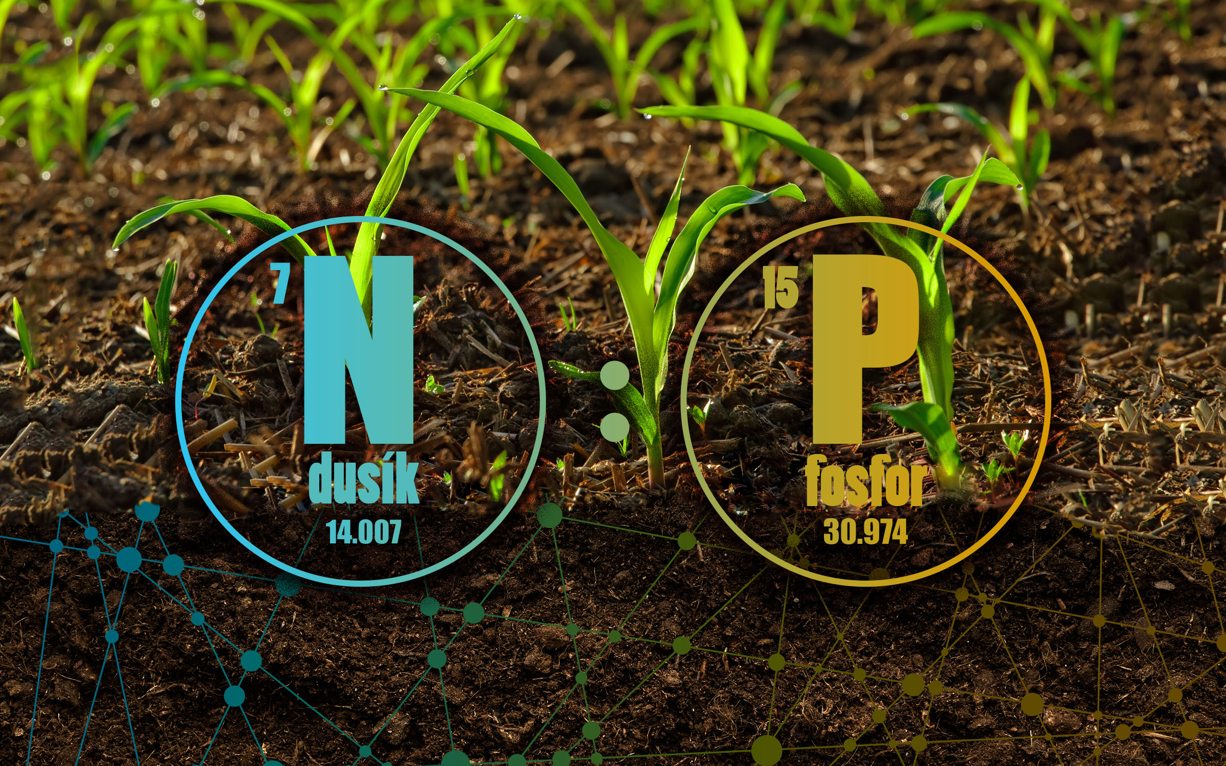 Dvě nejvýznamnější živiny kontrolující růst suchozemské vegetace jsou dusík (N) a fosfor (P).