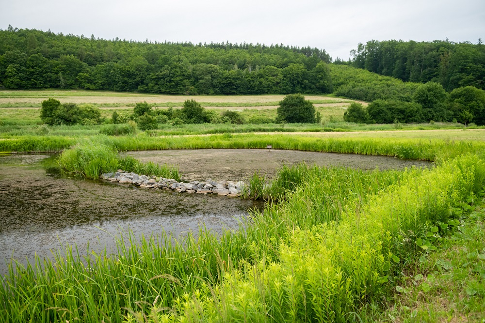 Obnova údolní nivy řeky Kyjovky. Vojtěch Herout, Nadace Partnerství – Adapterra Awards