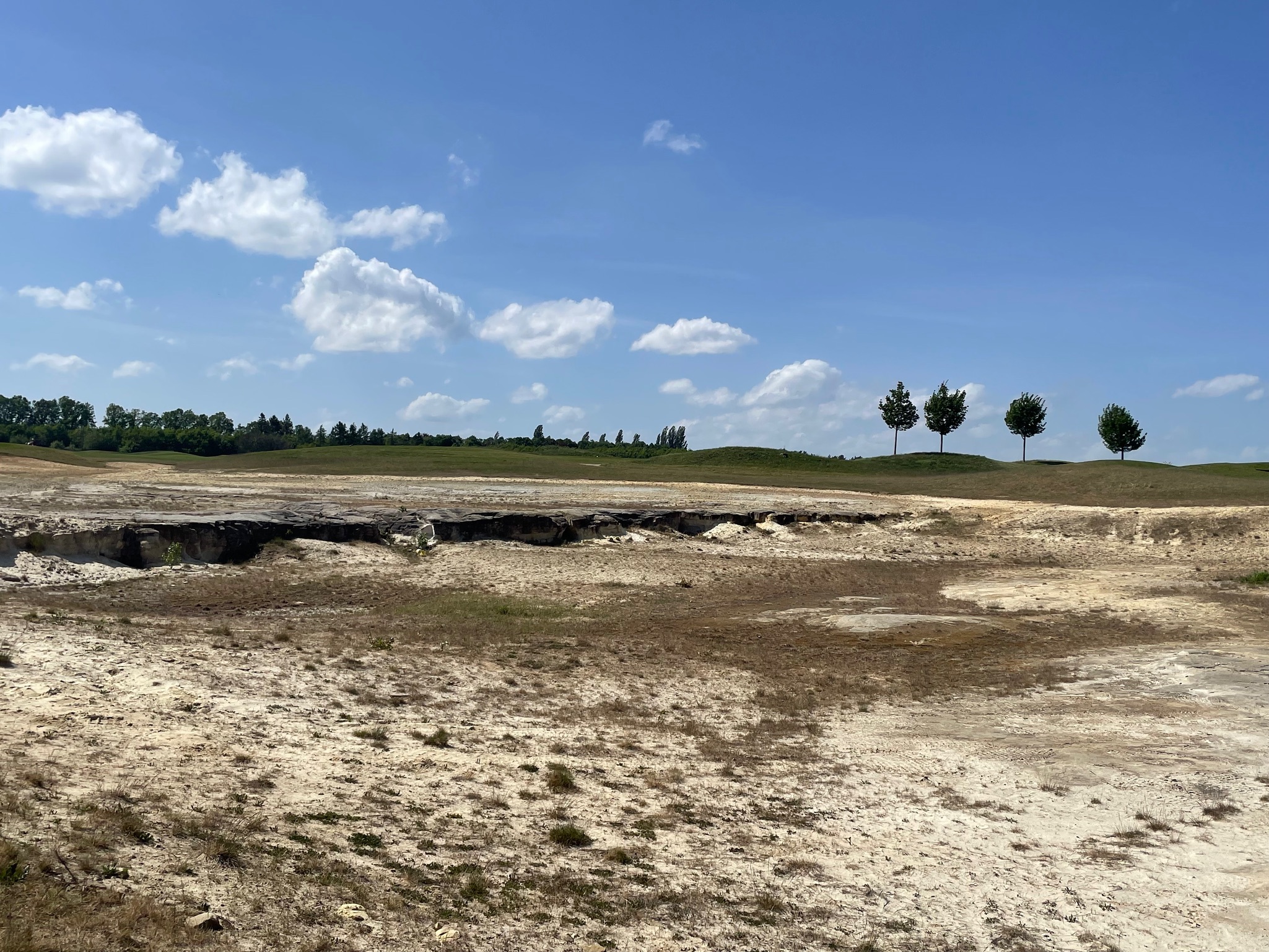 .. ale i písník na golfovém hřišti poskytuje místo biodiverzitě. Foto Eva Volfová