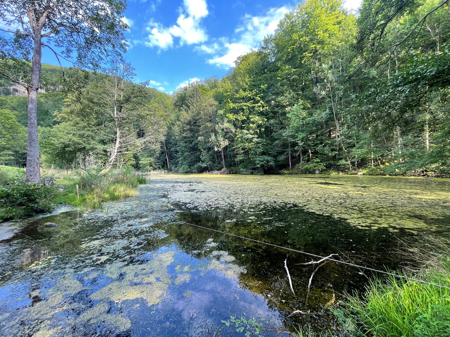 Krajina jako houba, která zadržuje vodu? Foto Eva Volfová