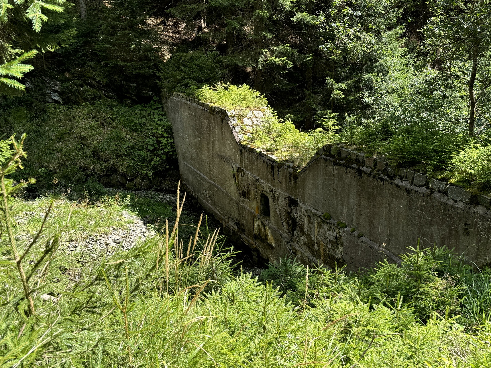 Objekt rozpadající se přehrážky stále představuje výraznou bariéru na toku (Hrubý Jeseník). Foto Jan Hradecký